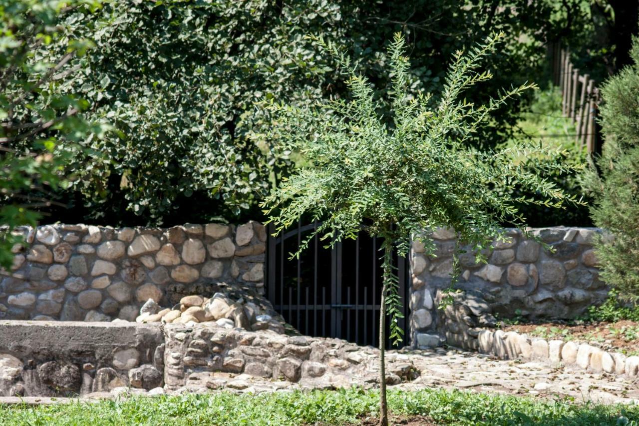 Guesthouse Silvani Krusevac Exterior photo